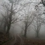 Сasa de vacaciones La Tana Del Riccio *