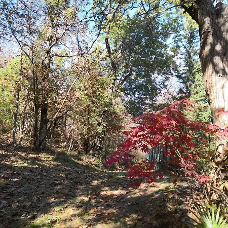 La Tana Del Riccio *