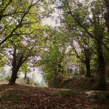 La Tana Del Riccio