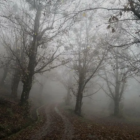Сasa de vacaciones La Tana Del Riccio *