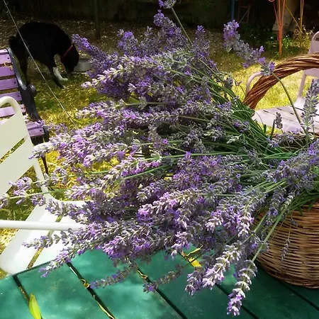 La Tana Del Riccio Casa de Férias San Sisto dei Valdesi