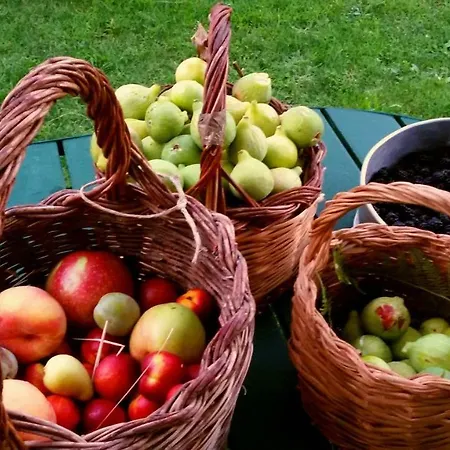 La Tana Del Riccio San Sisto dei Valdesi