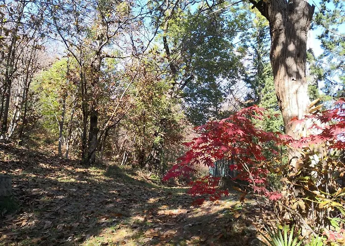 La Tana Del Riccio *