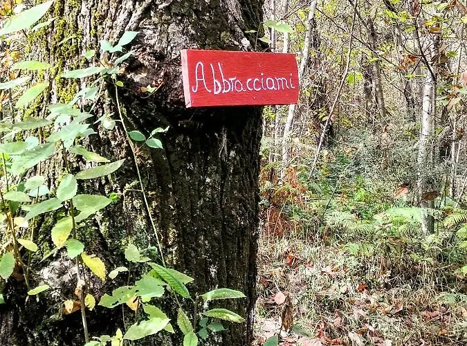 La Tana Del Riccio Casa de Férias San Sisto dei Valdesi