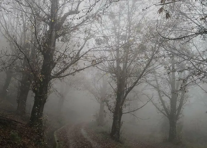 בית נופש La Tana Del Riccio *