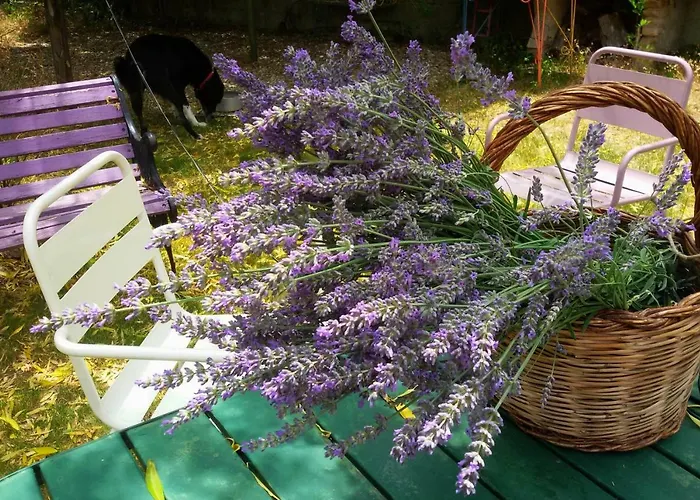 La Tana Del Riccio Casa de Férias San Sisto dei Valdesi
