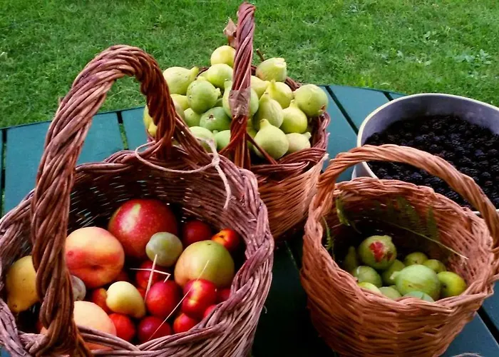 La Tana Del Riccio San Sisto dei Valdesi